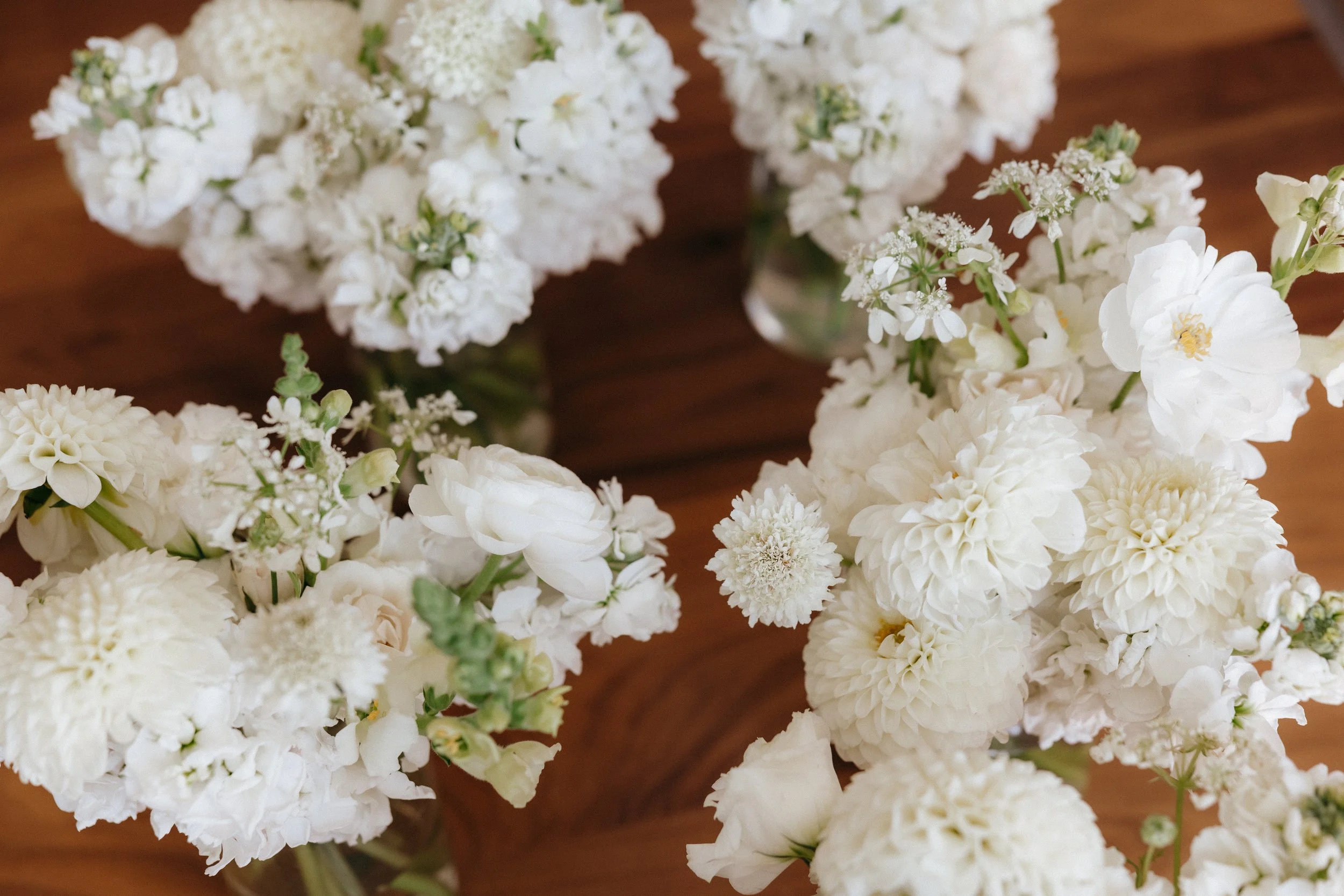 Cassidy + Cody Sneak Peeks-226.jpg