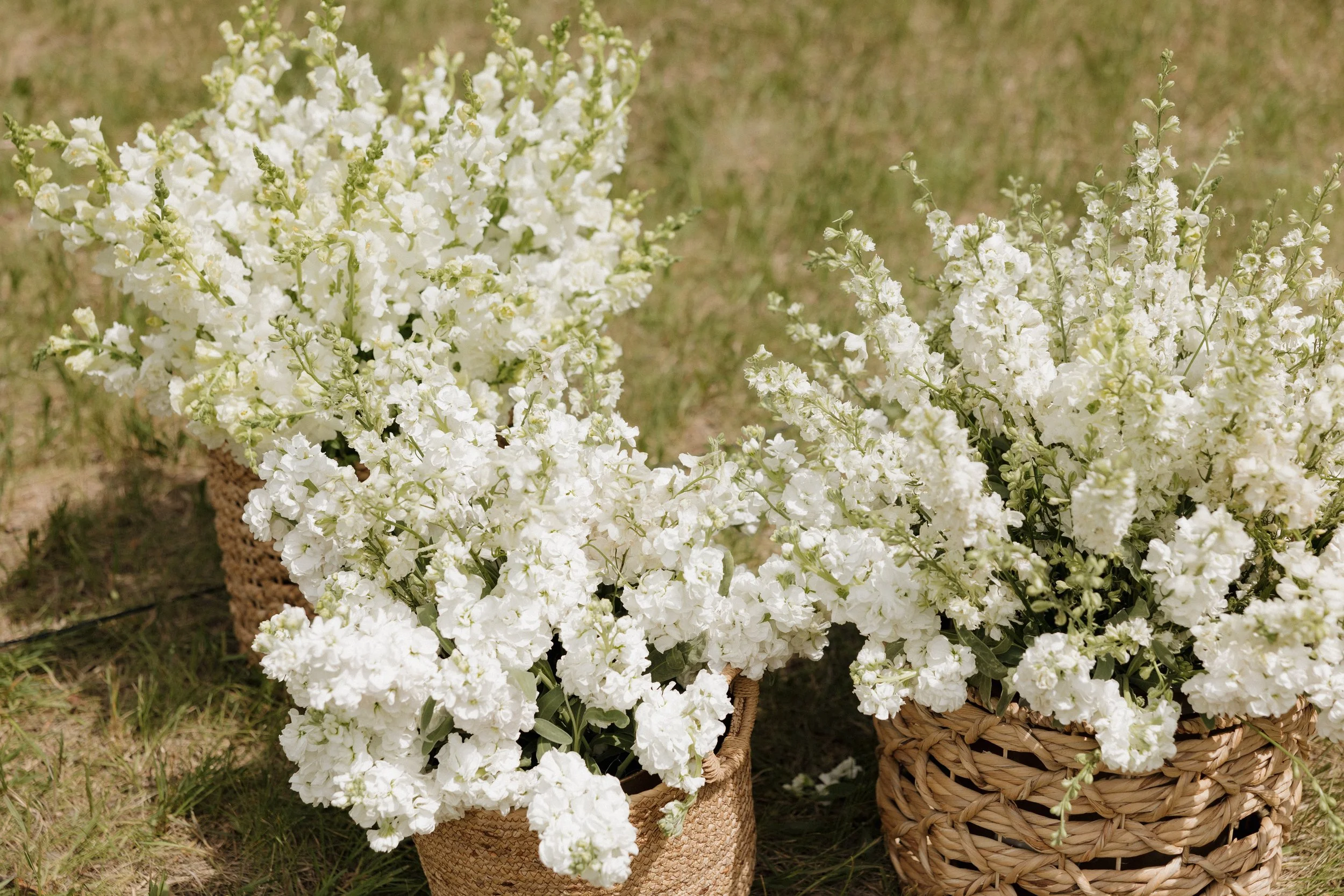 Cassidy + Cody Sneak Peeks-190.jpg