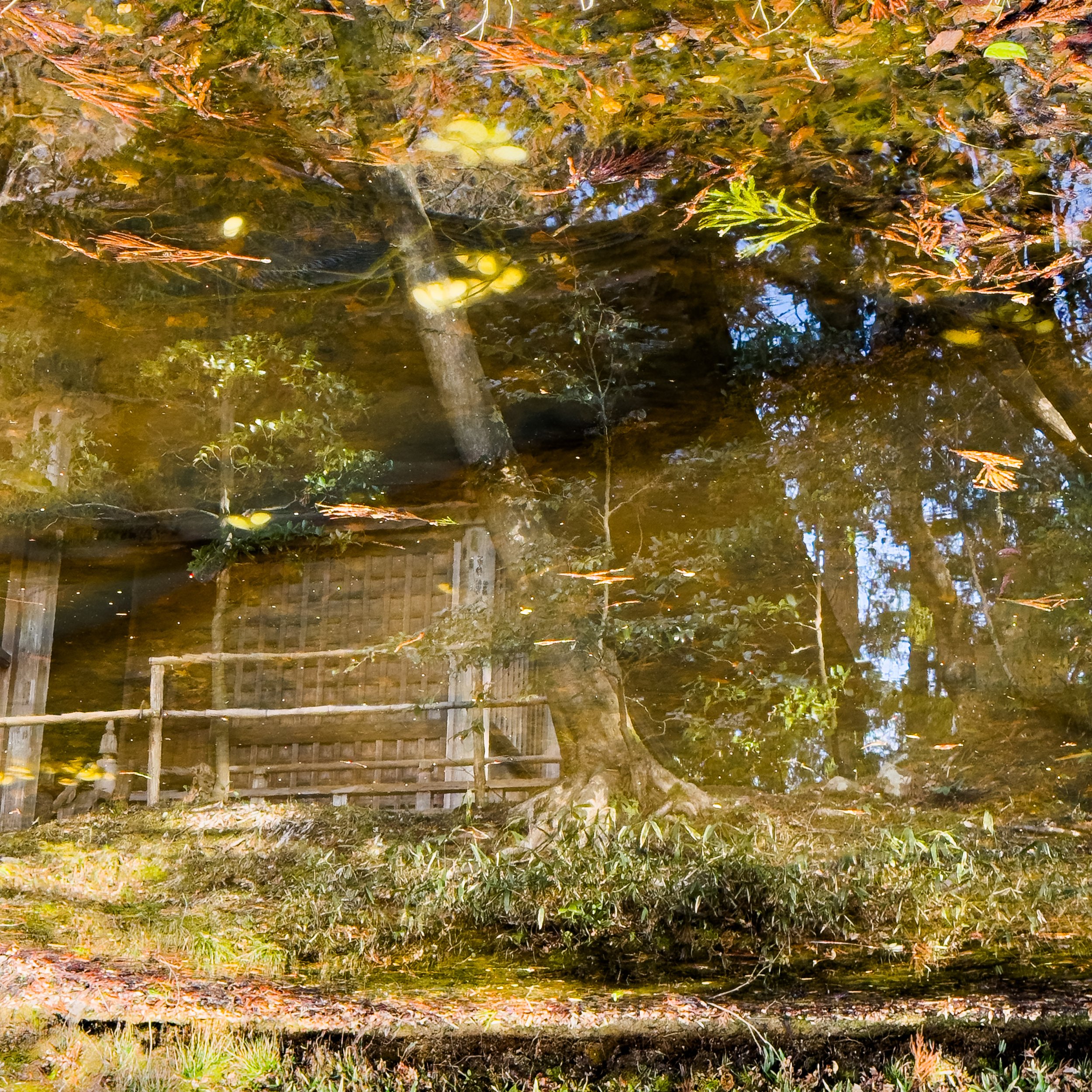 Afternoon light, Japan.jpg