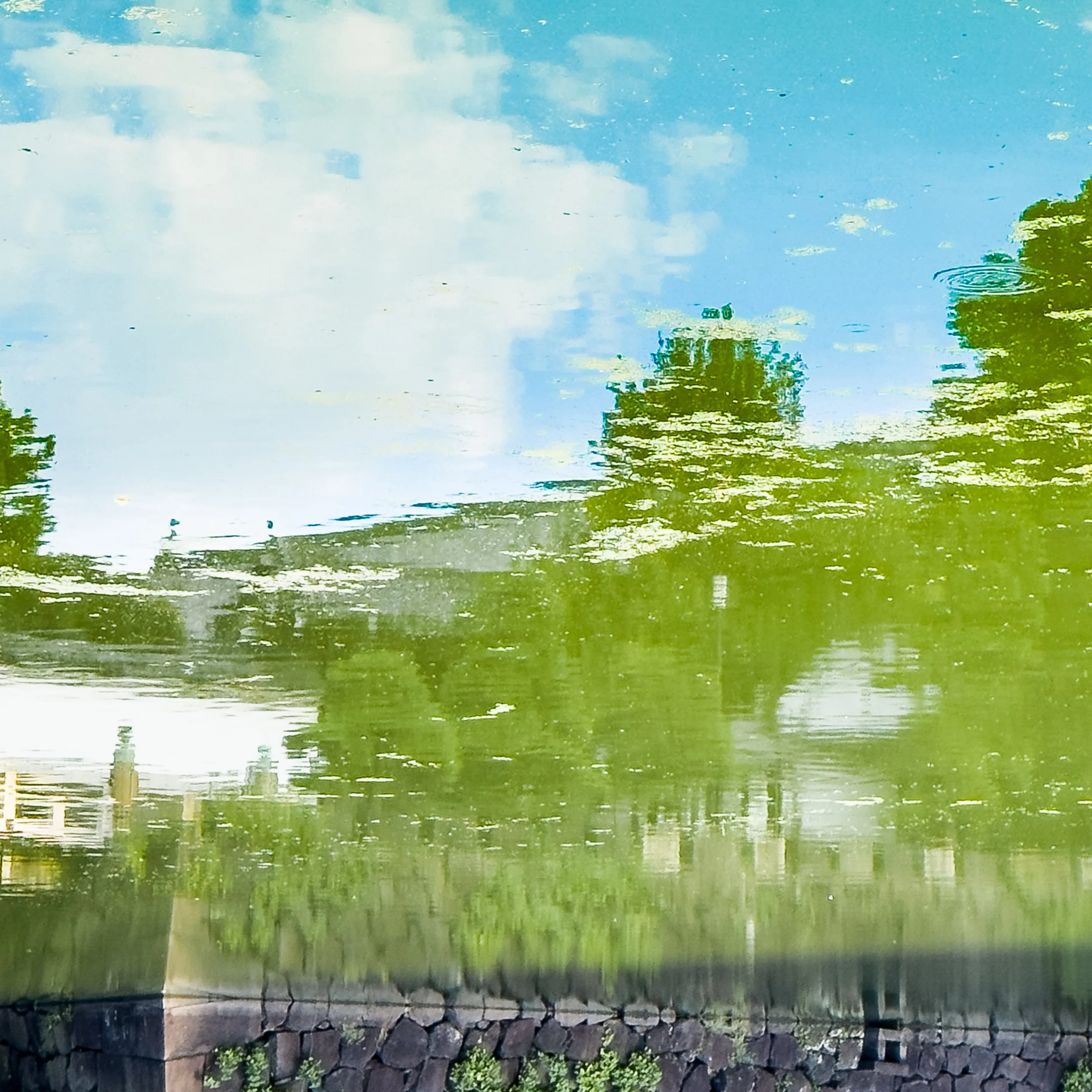 Crossing the Bridge, Tokyo.jpg