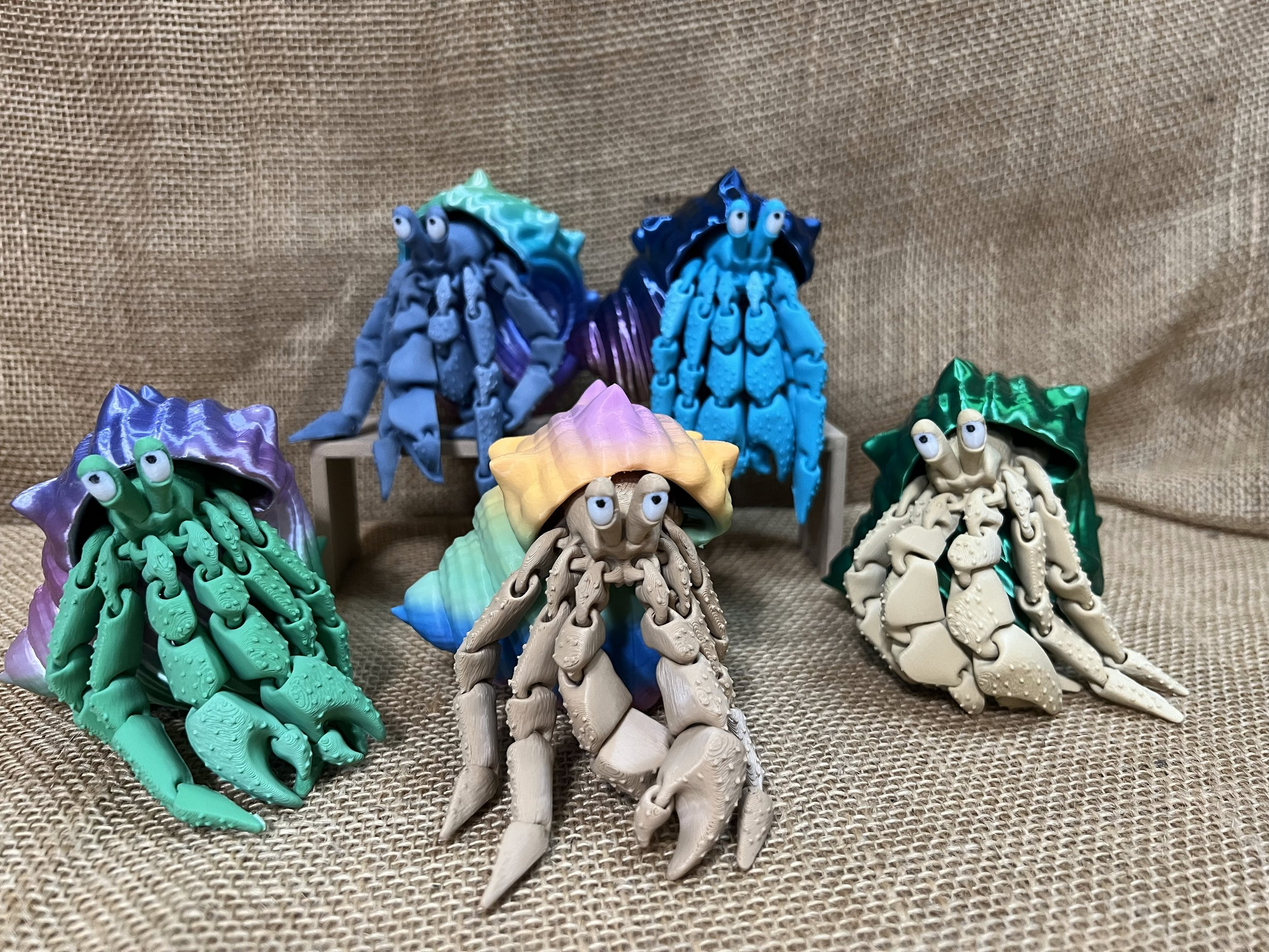 Hermit crabs and shell combo