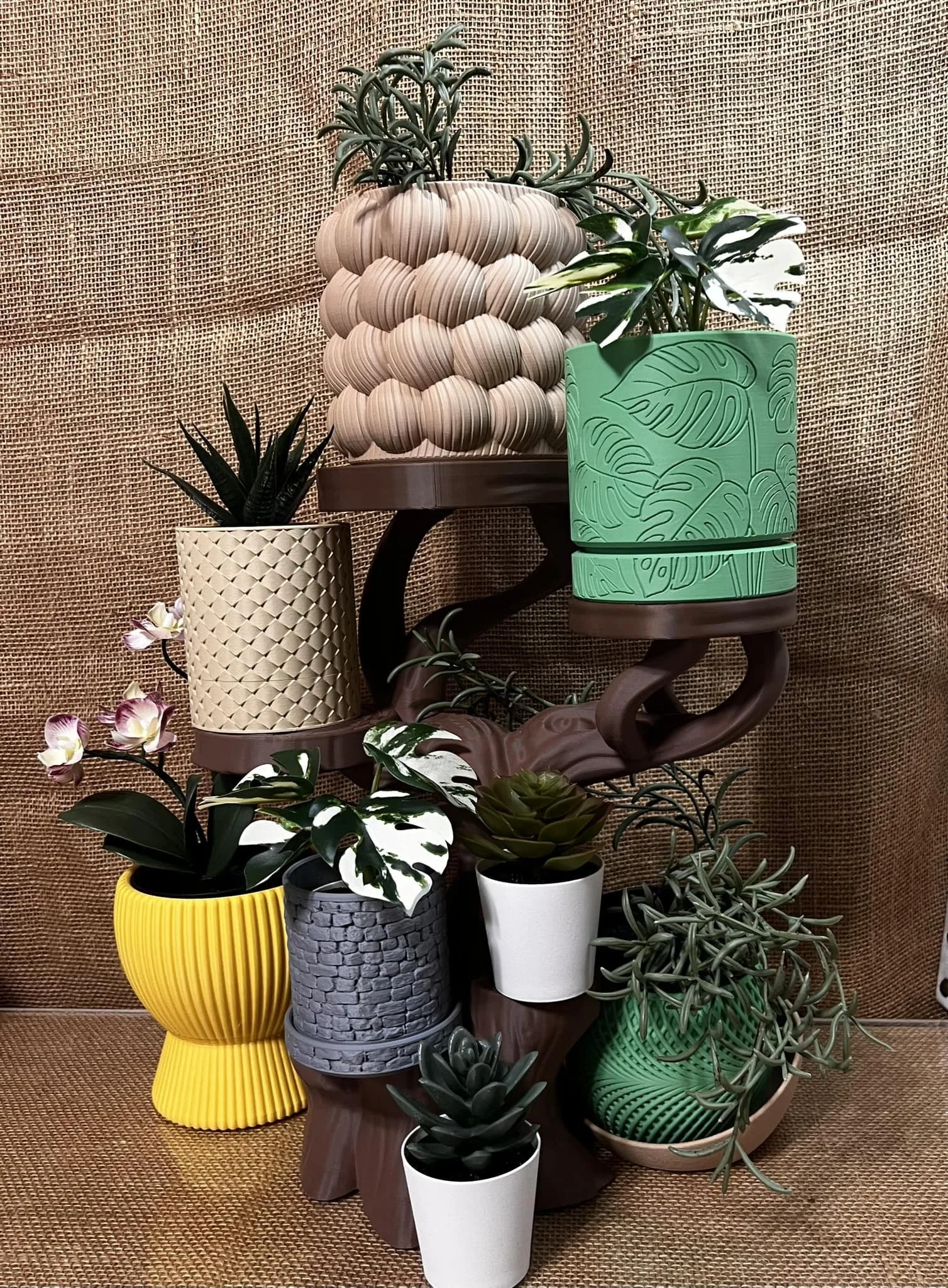 Arrangement of various potted plants, including succulents and other foliage, displayed on a decorative stand against a textured brown background.