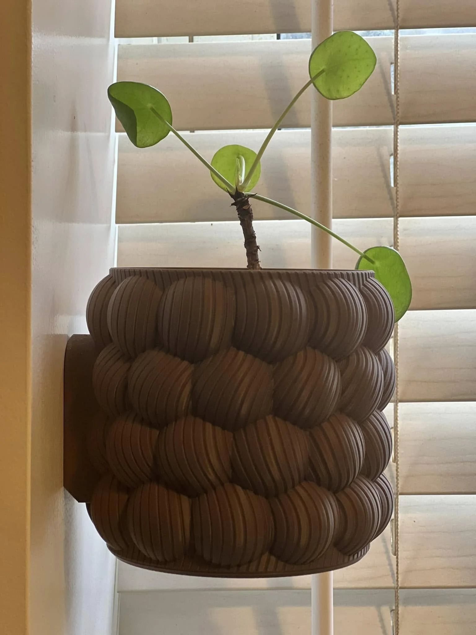 A potted plant with large green leaves on a wooden-patterned container placed near window blinds.