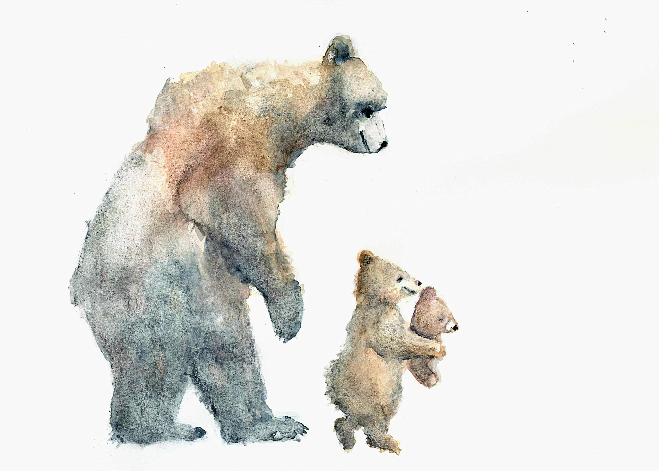 Teddy 5x7 Landscape.png