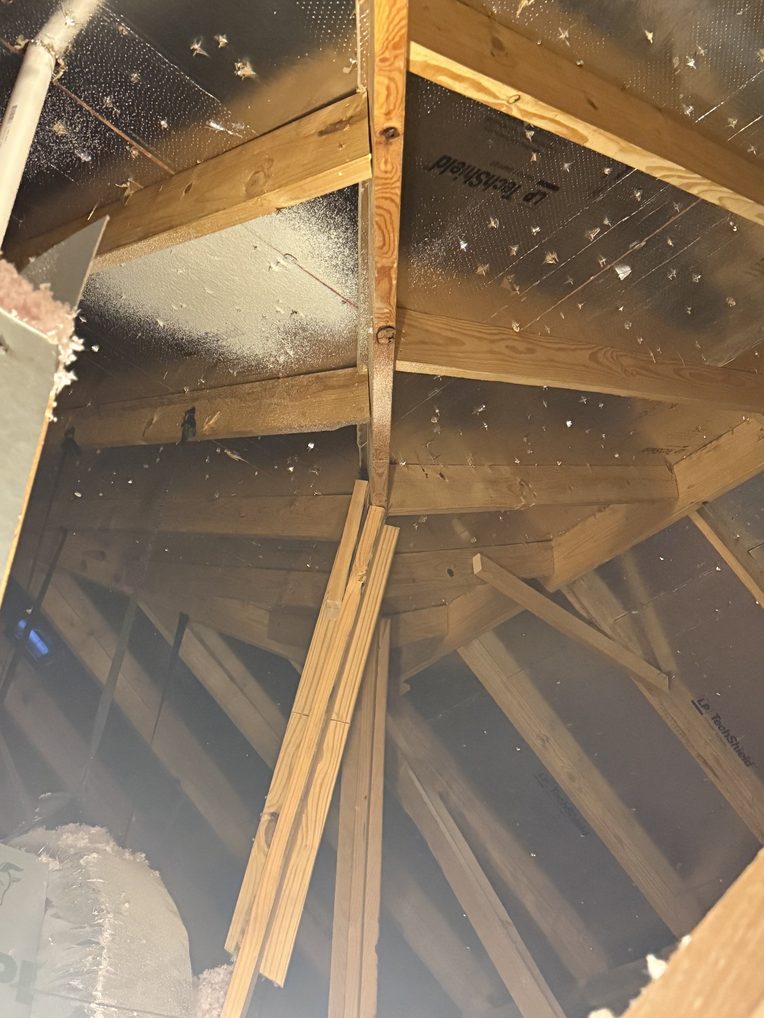 Attic Structure