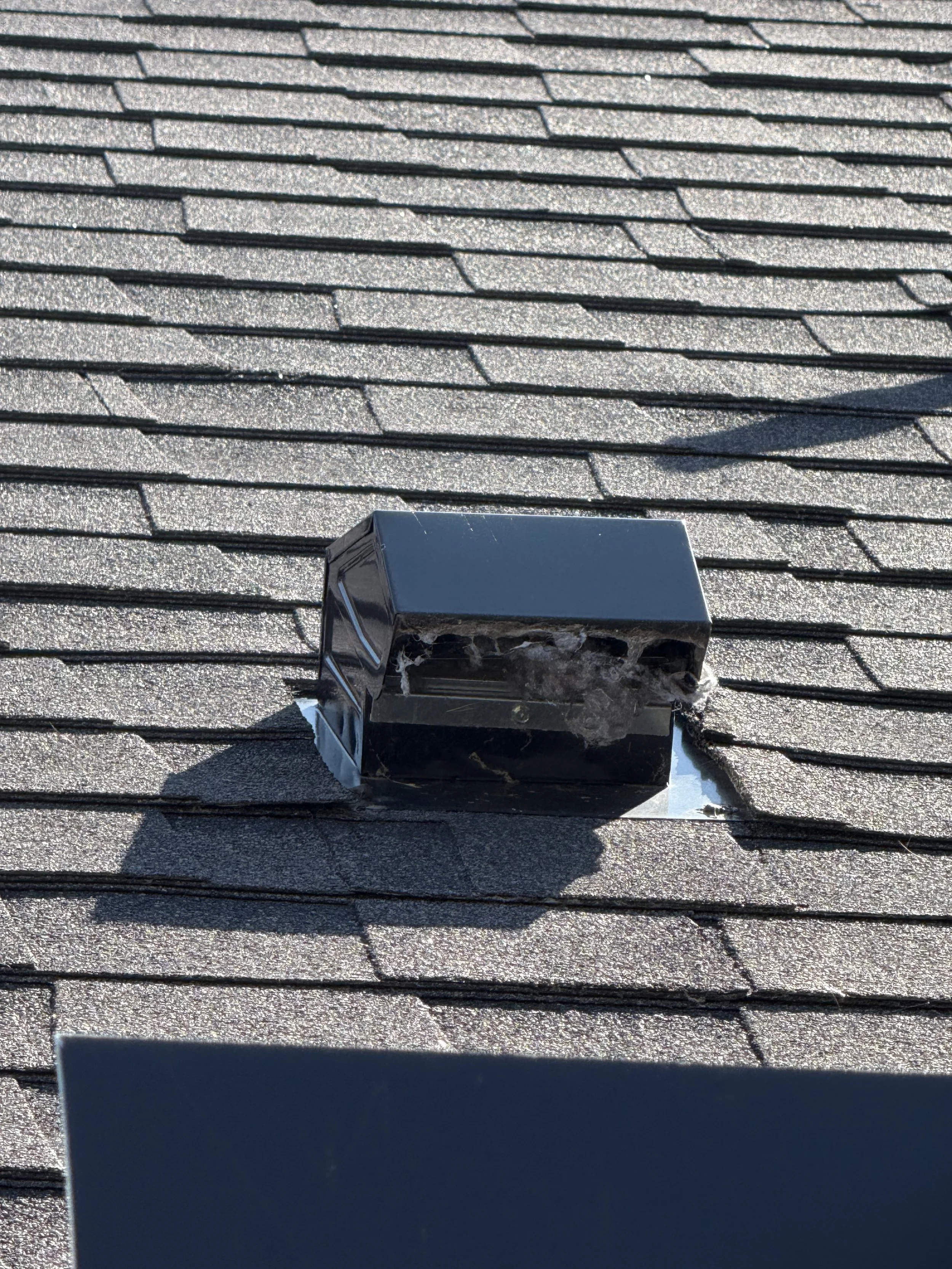 Dryer Vent
