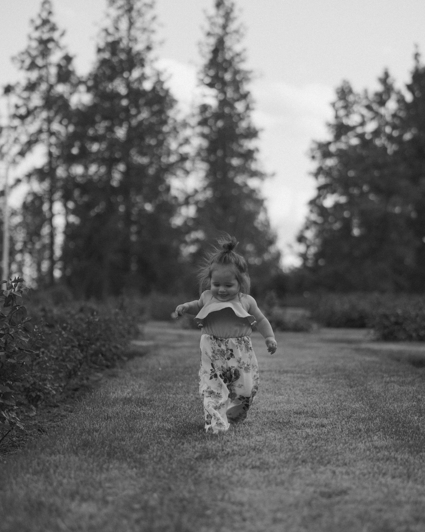 Sometimes family sessions are spent chasing the kids around &amp; honestly, I don&rsquo;t hate it. Kids love adventure &amp; wondering &amp; I&rsquo;ll be there to capture it 🖤
.
.
.
.

#familyphotographer #familylove
#spokanephotographer #pnwphotog