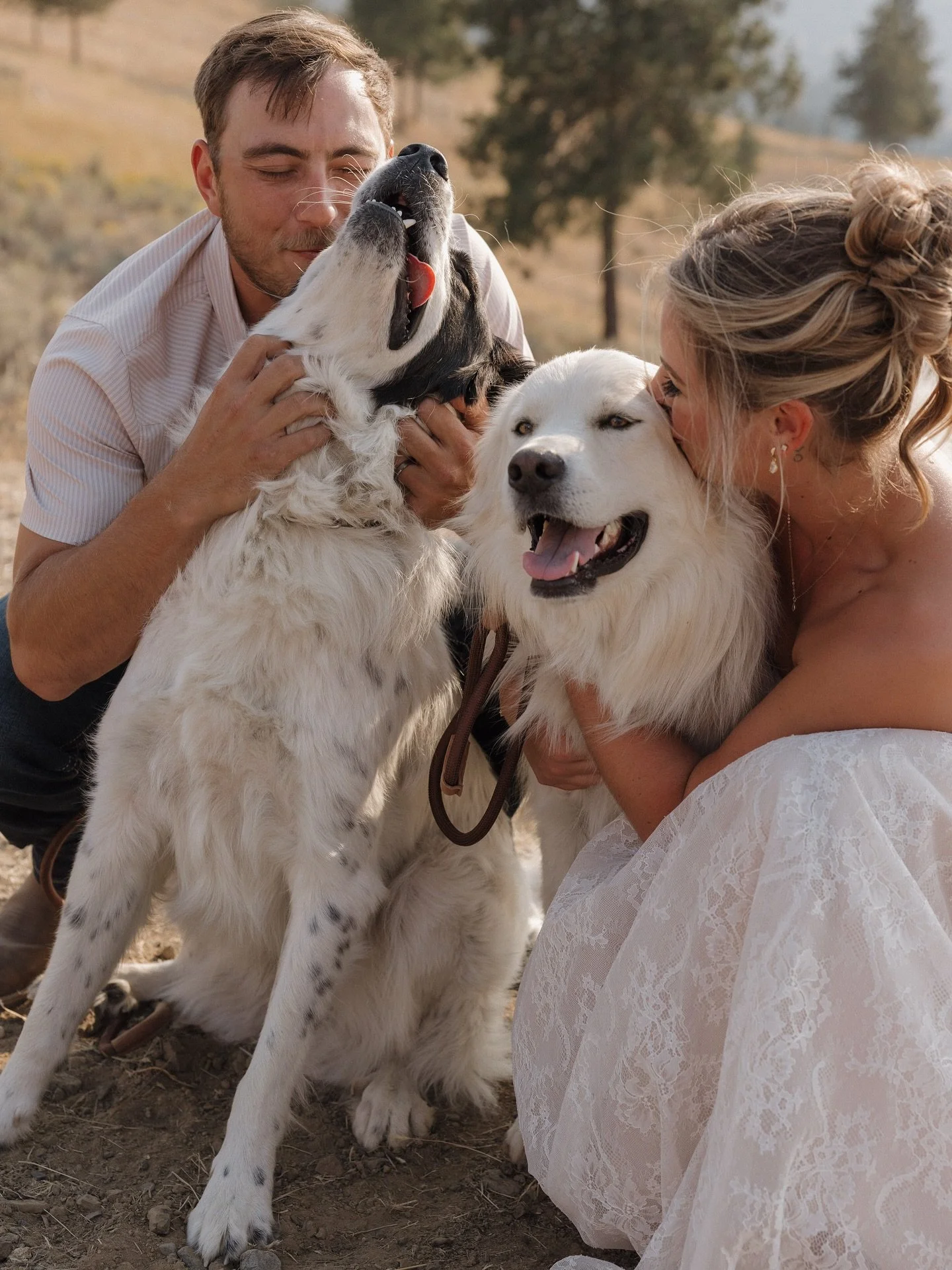 Here is your reminder to bring your best friends to your wedding 🫶🏻
.
.
.
.
#wedding #dogsofinstagram #idahoweddingphotographer #washingtonweddingphotographer #pnw #pnwweddingphotographer