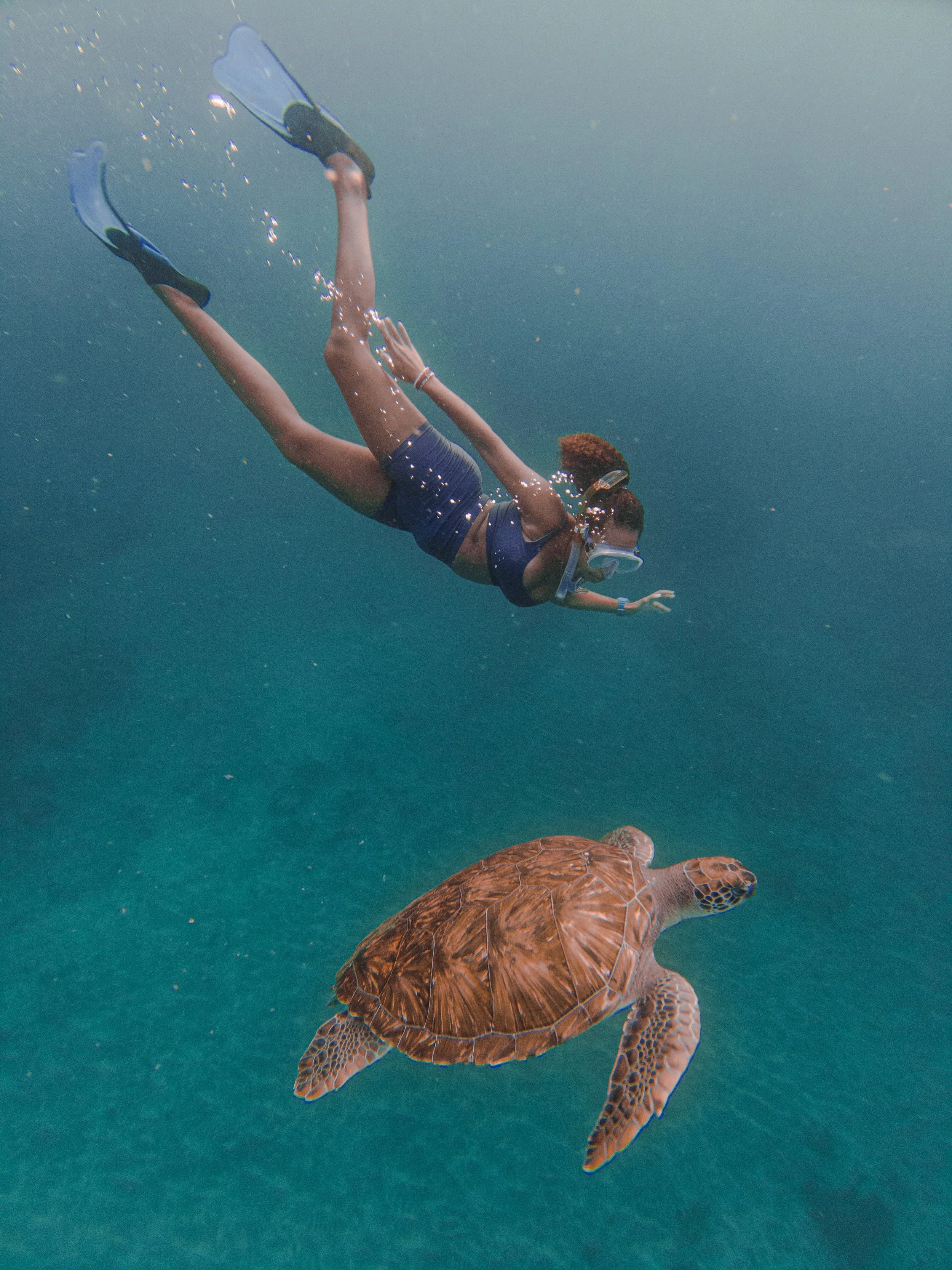 Meeting the Cape Verdian sea turtles with Danni Washington
