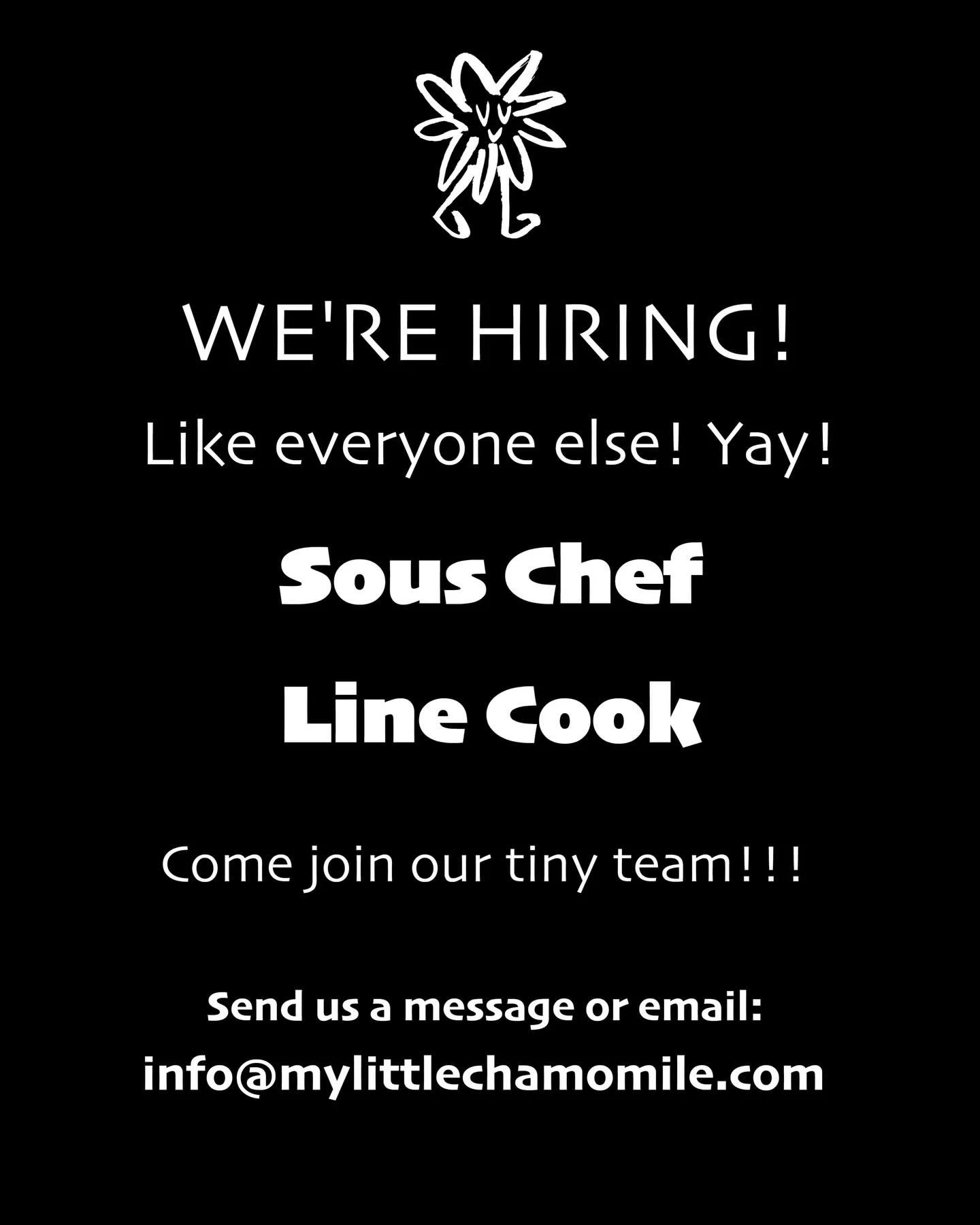 🌶️ Wanted: Sous Chef &amp; Line Cook for our small, traditional Turkish restaurant in the heart of Georgetown, DC!

Great team, prime location, real growth opportunity.

DM or email info@mylittlechamomile.com to join the kitchen fire! 🔥🇹🇷🔥 

#Ge