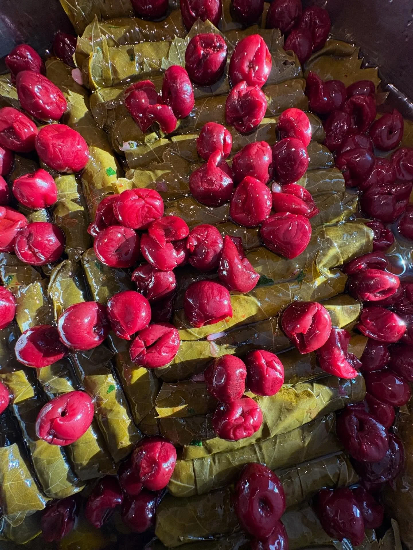 &ldquo;Vişneli Yaprak Sarma&rdquo; stuffed grape leaves with sour cherries 🍒 #vegan