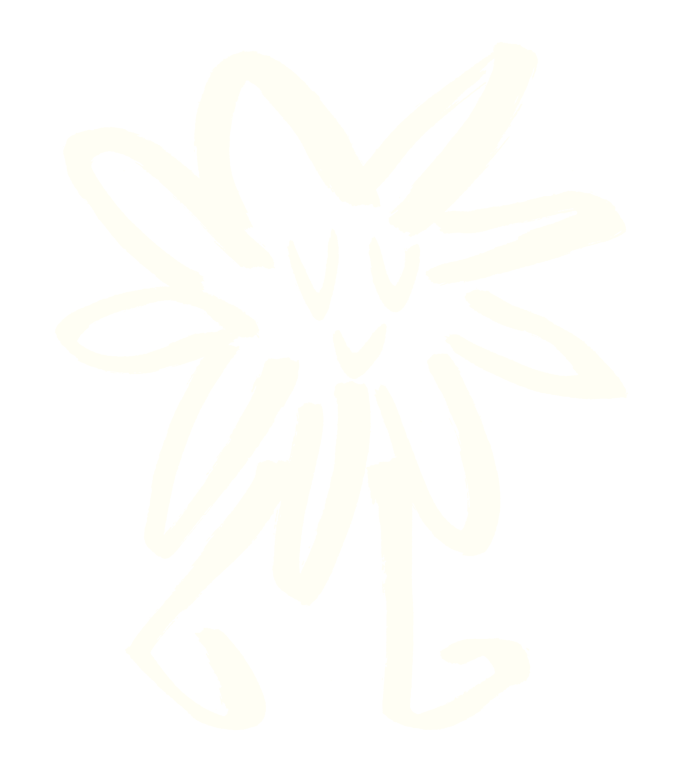 My Little Chamomile