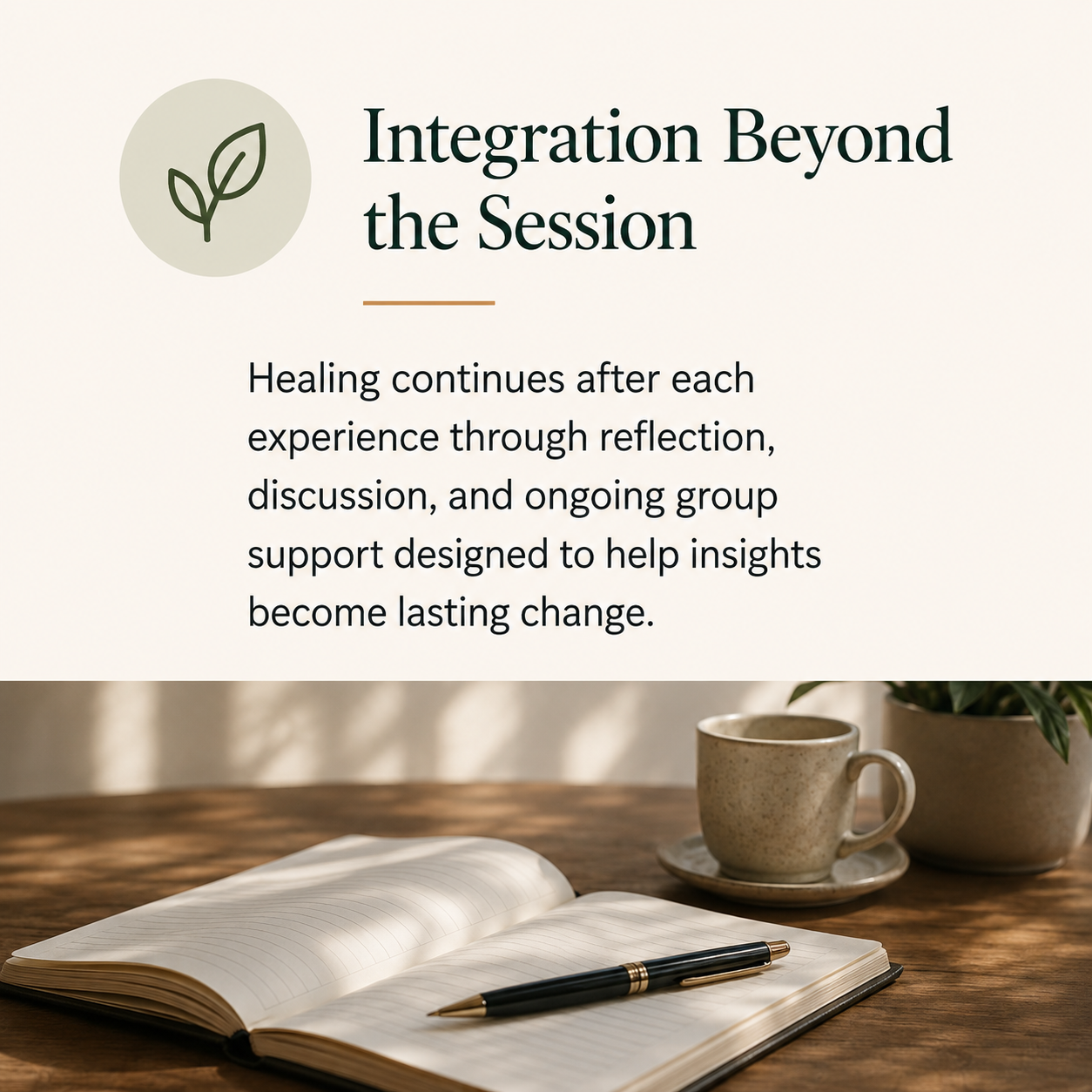 Psychedelic integration support and emotional healing Asheville