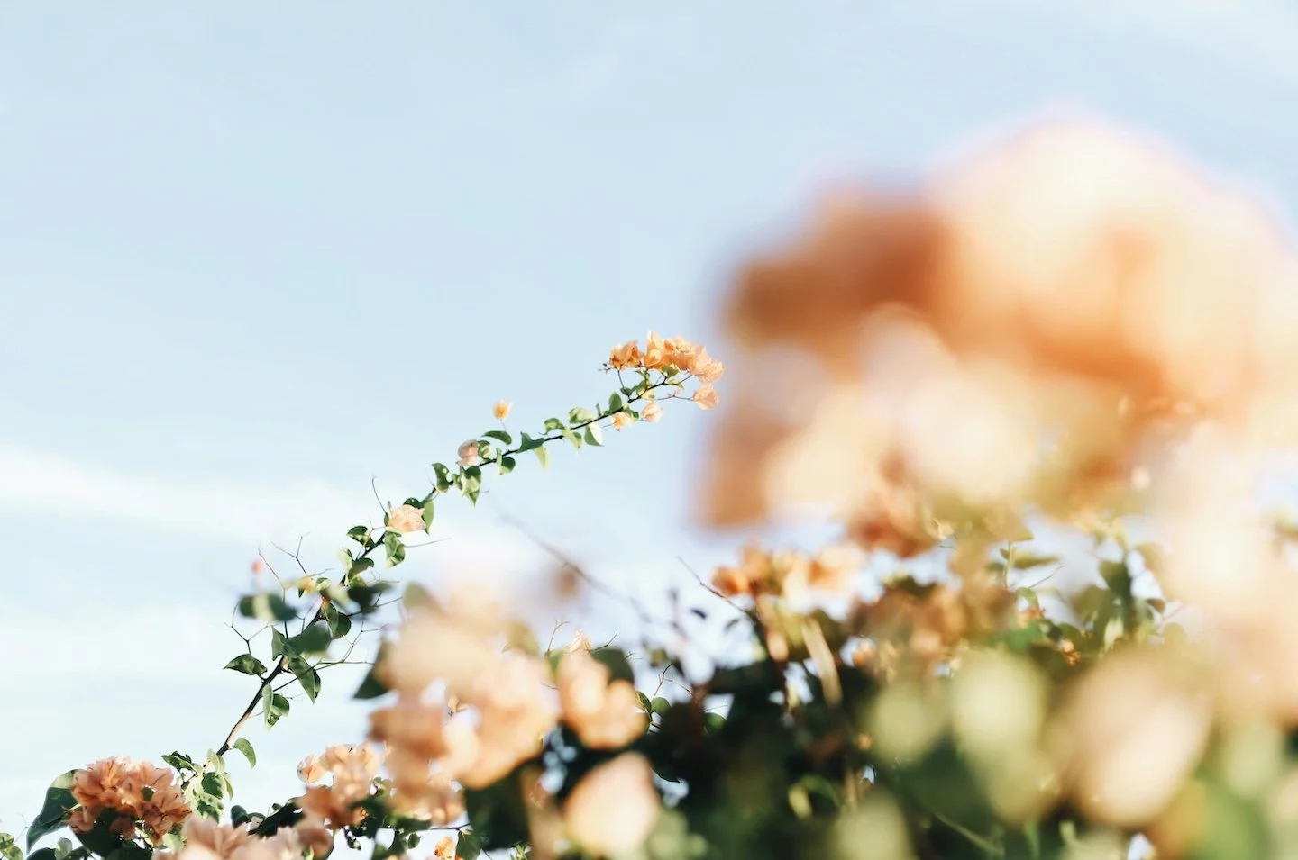 How to Choose the Right Therapist in Monmouth County