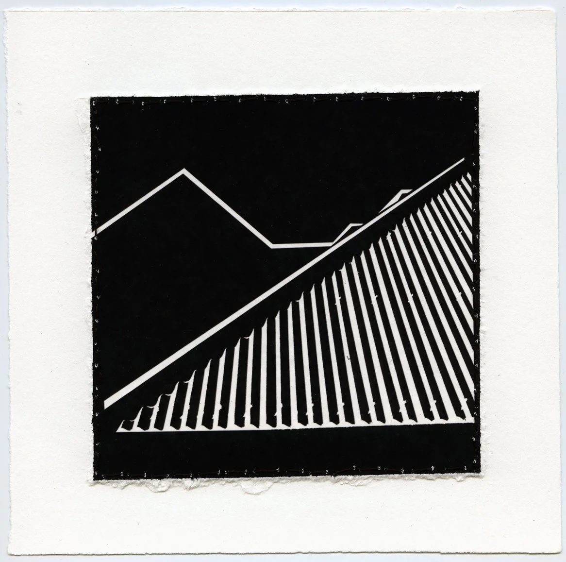 10_New Farm Rosaville_2007_sml.jpg