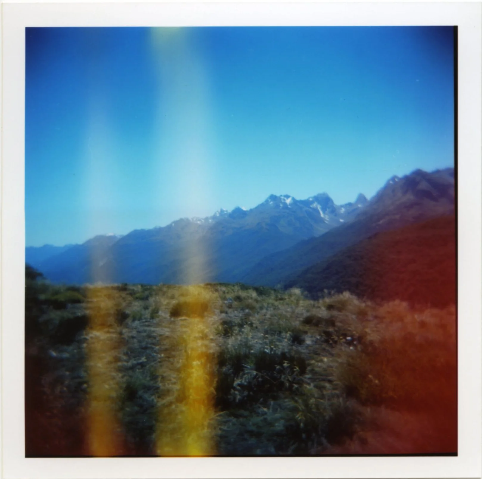 Holga_2010044_c.jpg