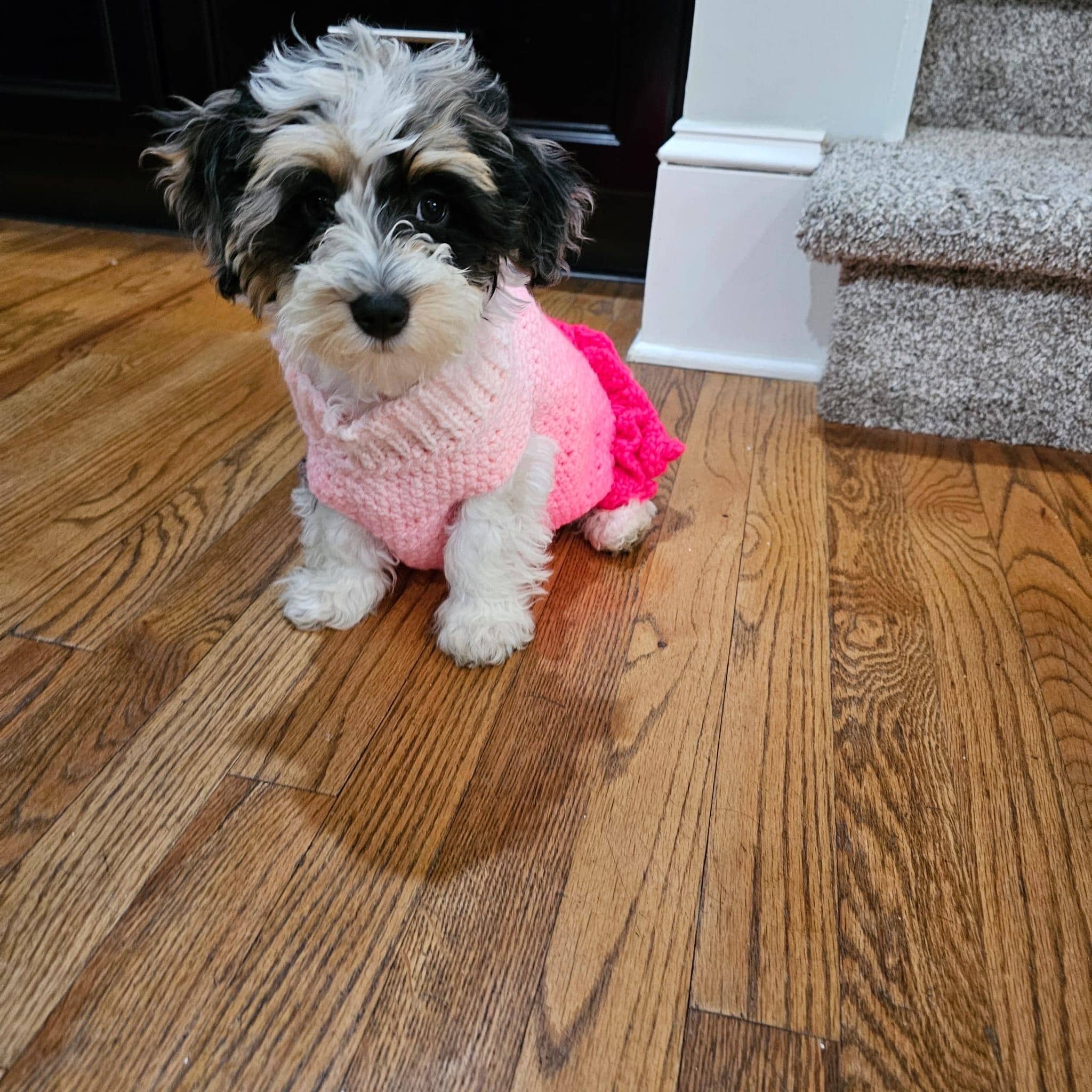 Custom handmade crochet dog dress, stylish and comfortable for small to medium dogs.