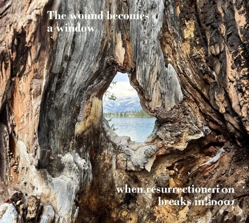 Blessings of the Beaver