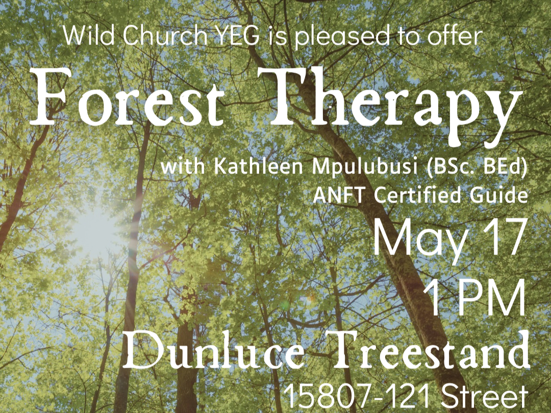 Wild Church - Forest Therapy