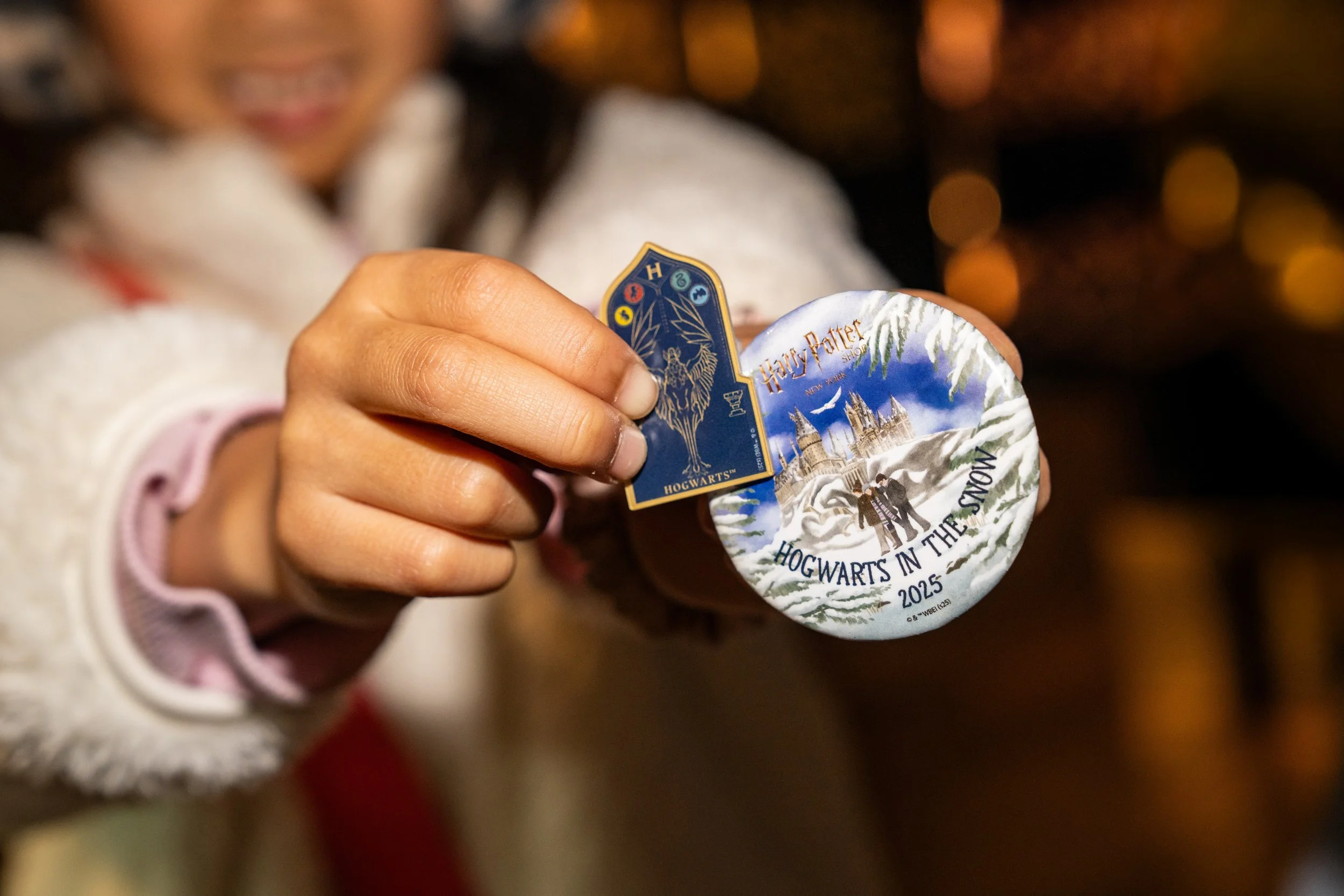 Harry Potter Hogwarts In The Snow Small 16.jpg