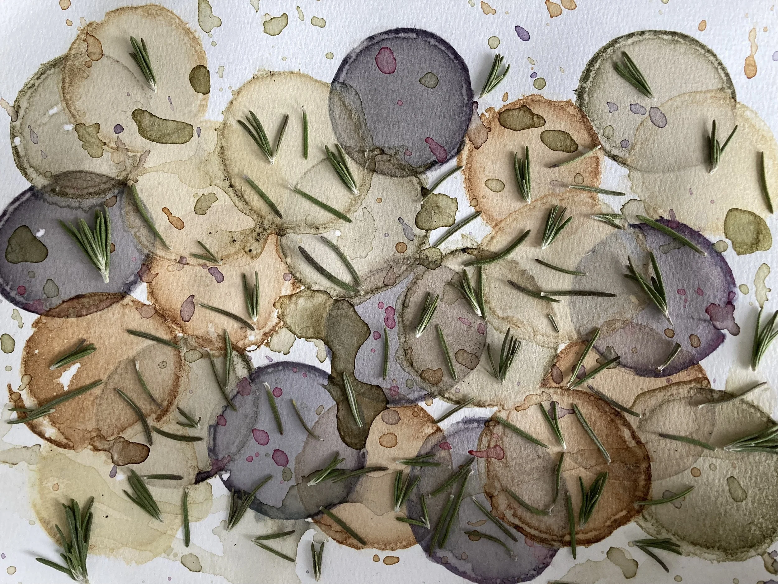 rosemary motion