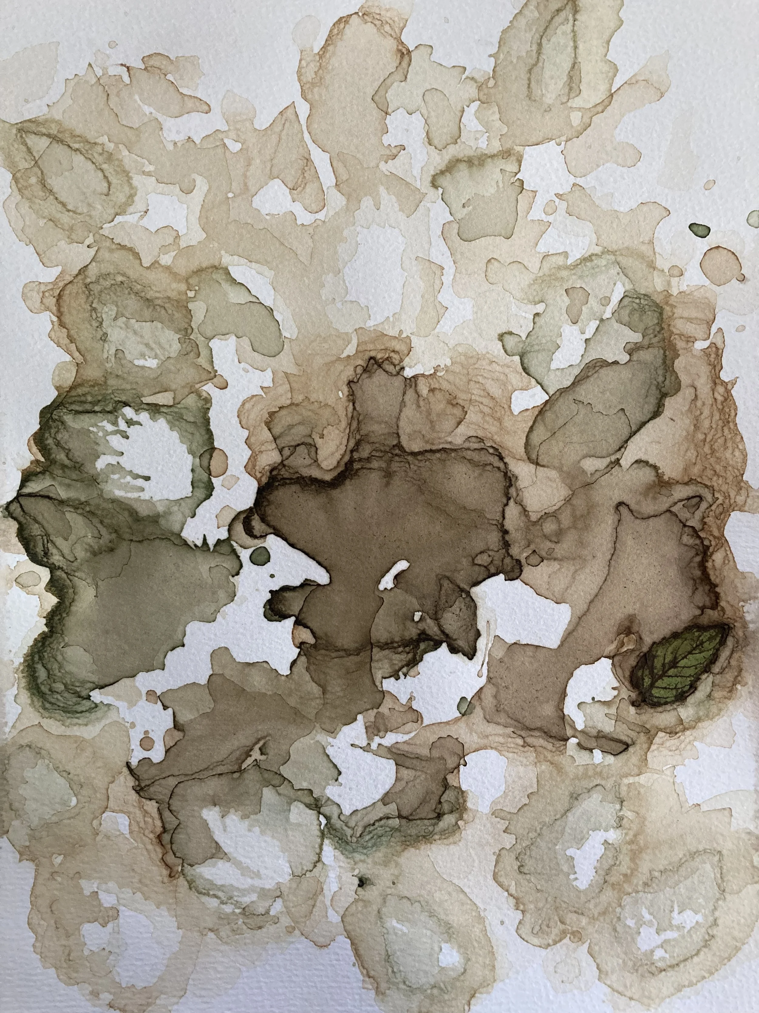 nettle shadows