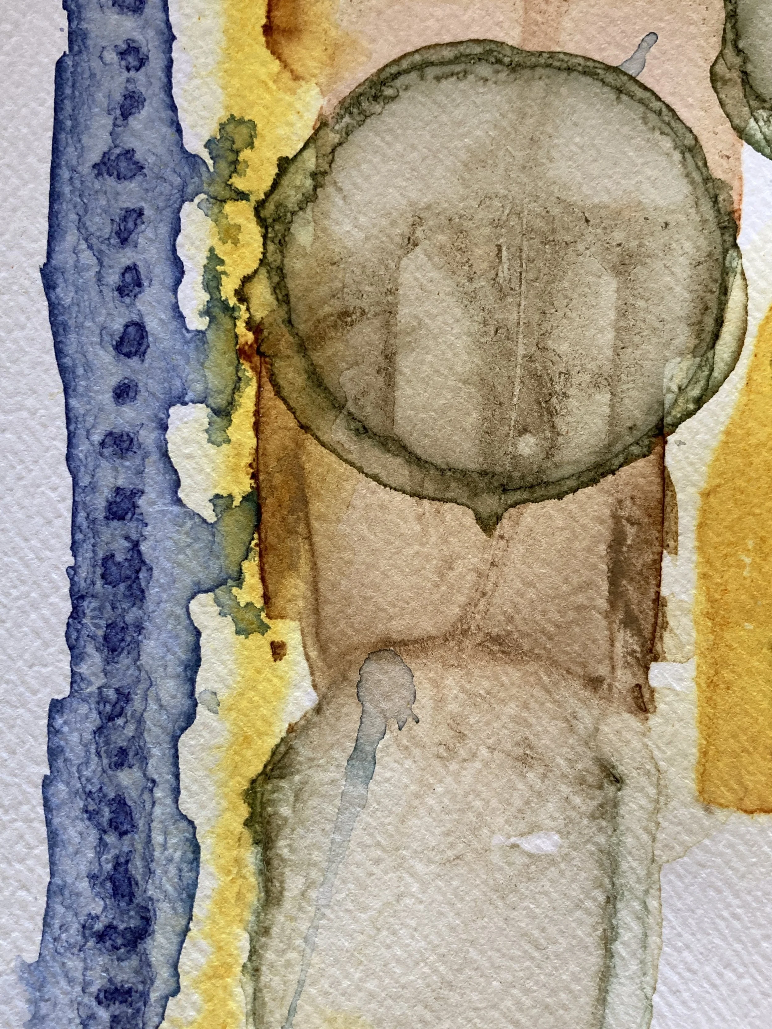 self-determining turmeric