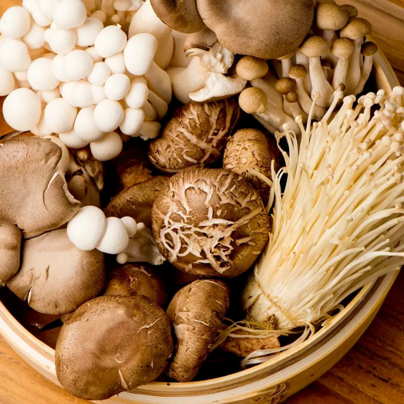 The Difference Between a Mushroom Trend and a Mushroom Standard.