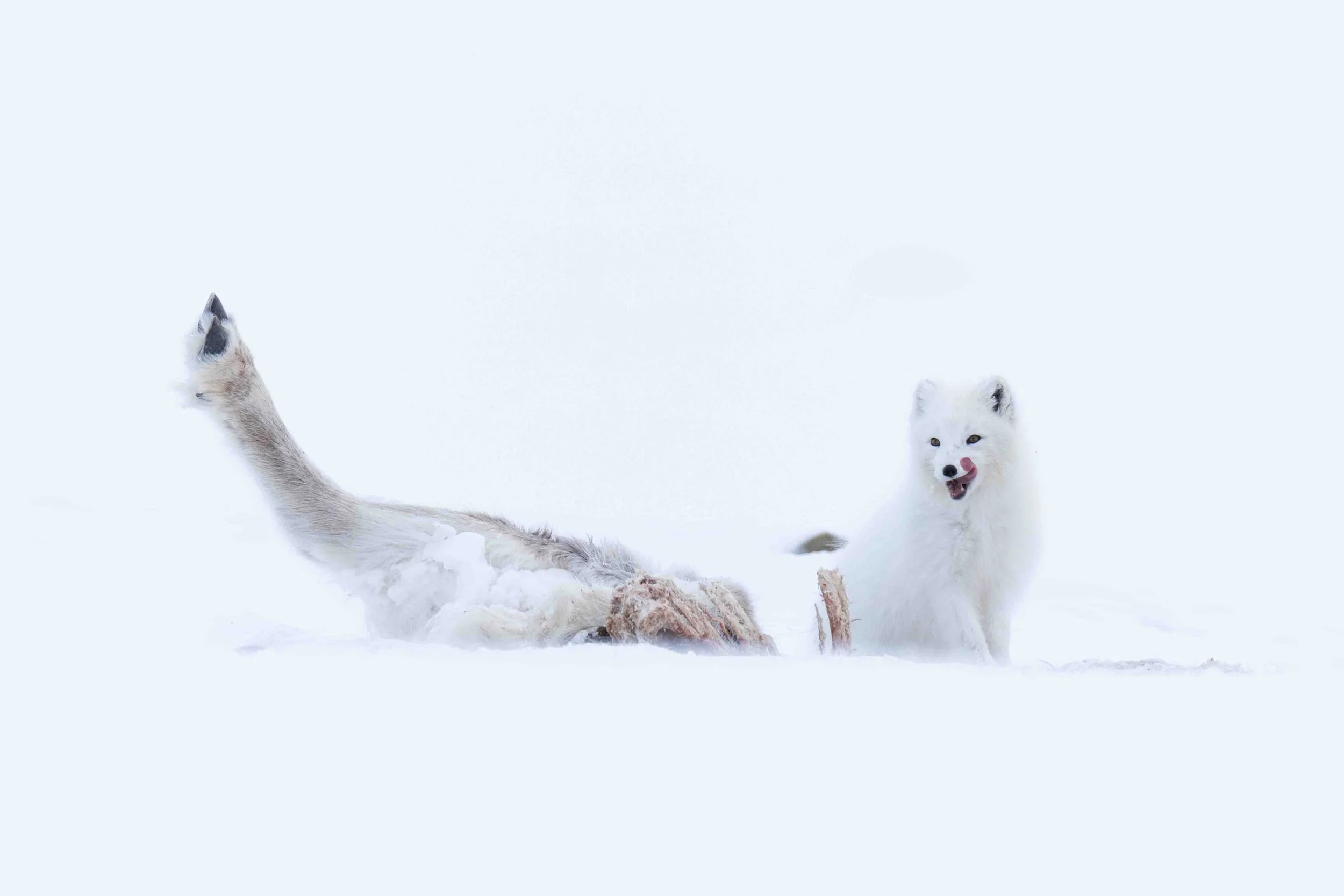 Napaketun illallinen