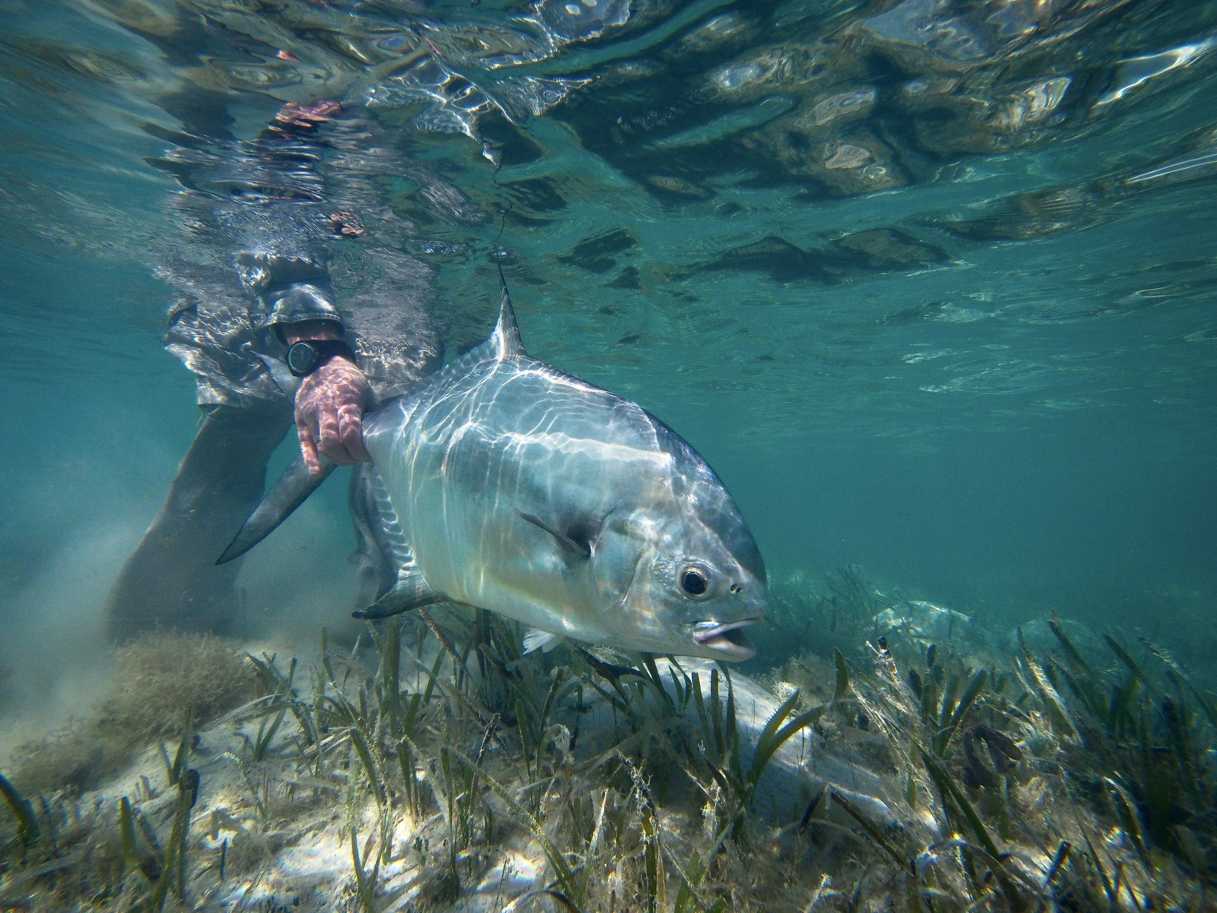P1290065.jpg