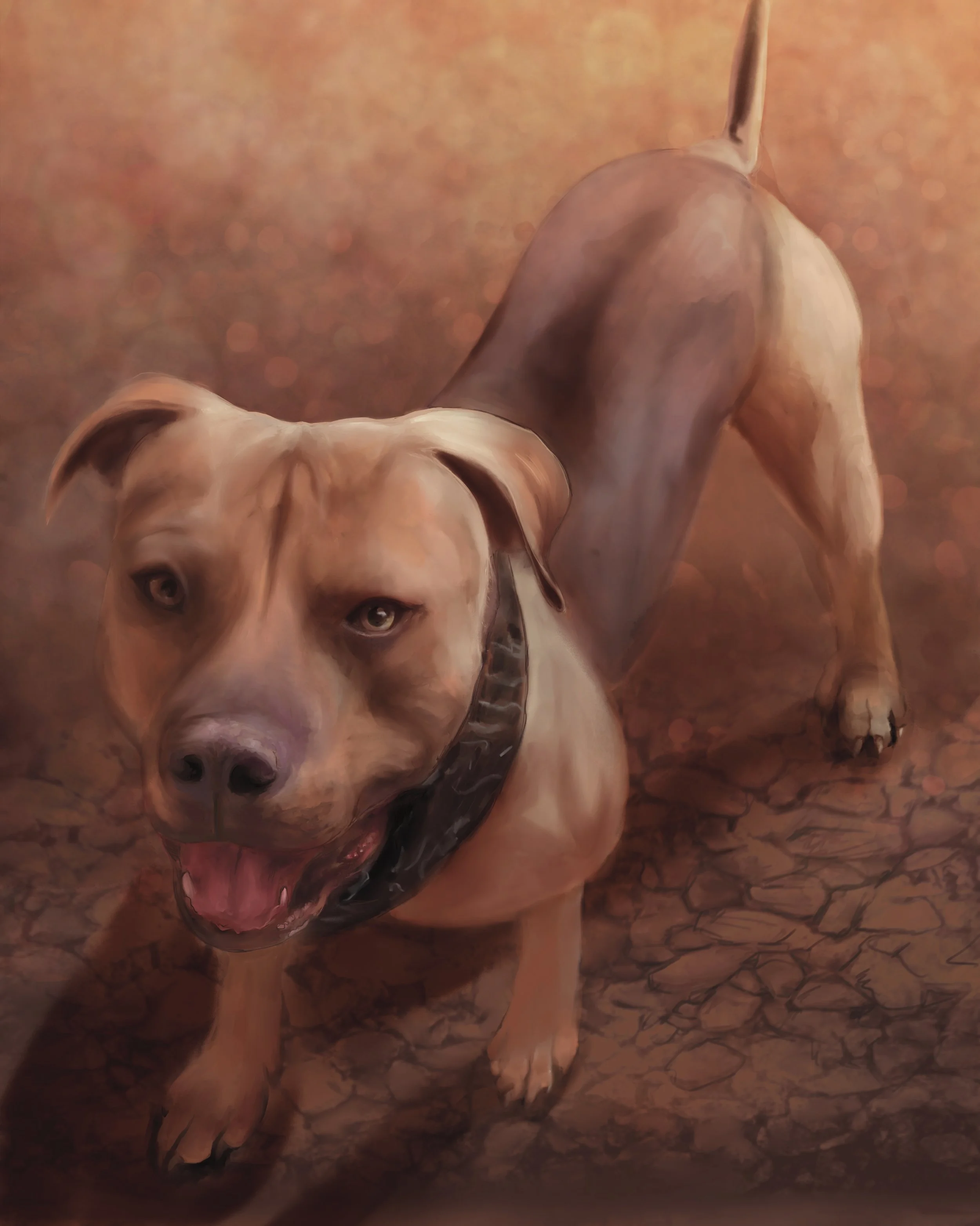 Ralph.jpg