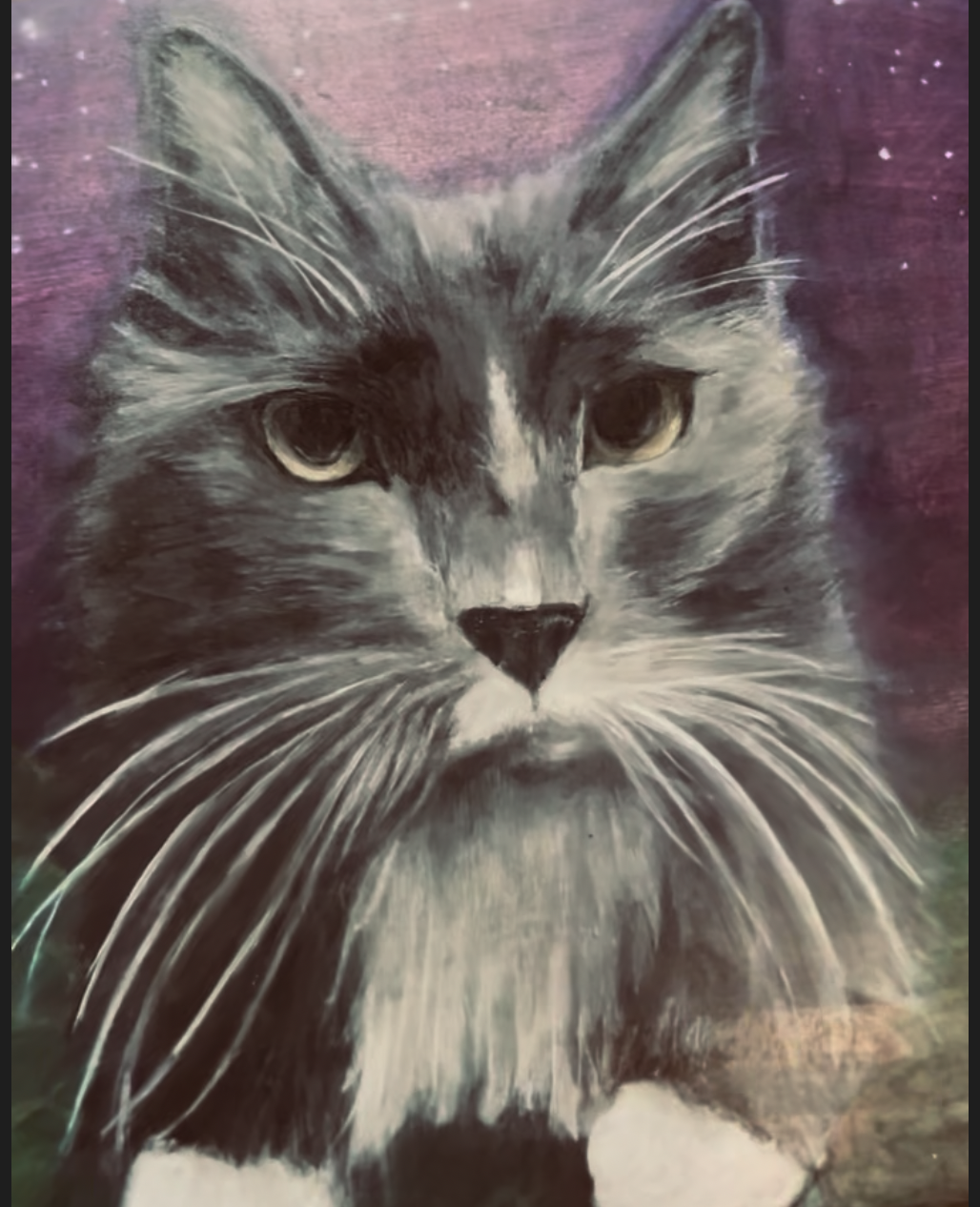 Painting of a domestic long-haired cat with expressive eyes, detailed fur, and a dark background with hints of purple and green.