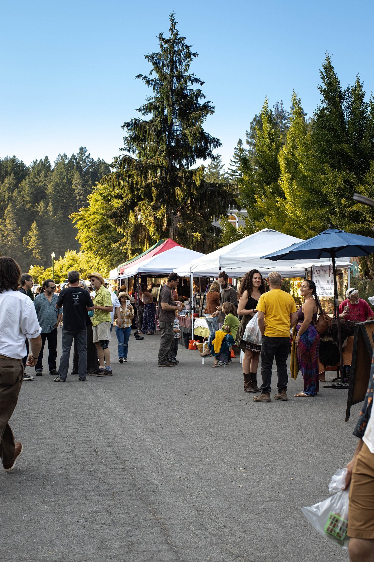 Occidental Farmers Market.jpg