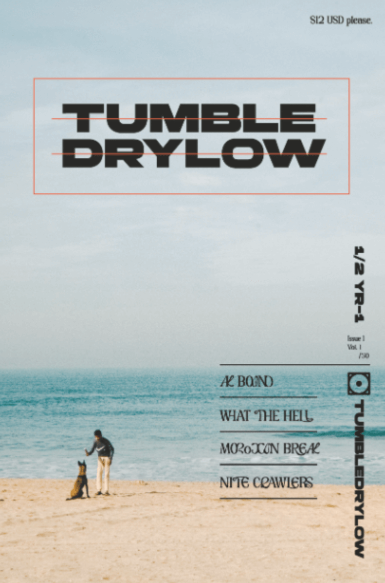 Tumble-Dry-Low-Cover-1-Lo-res.png