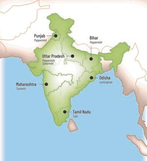 India10.jpg