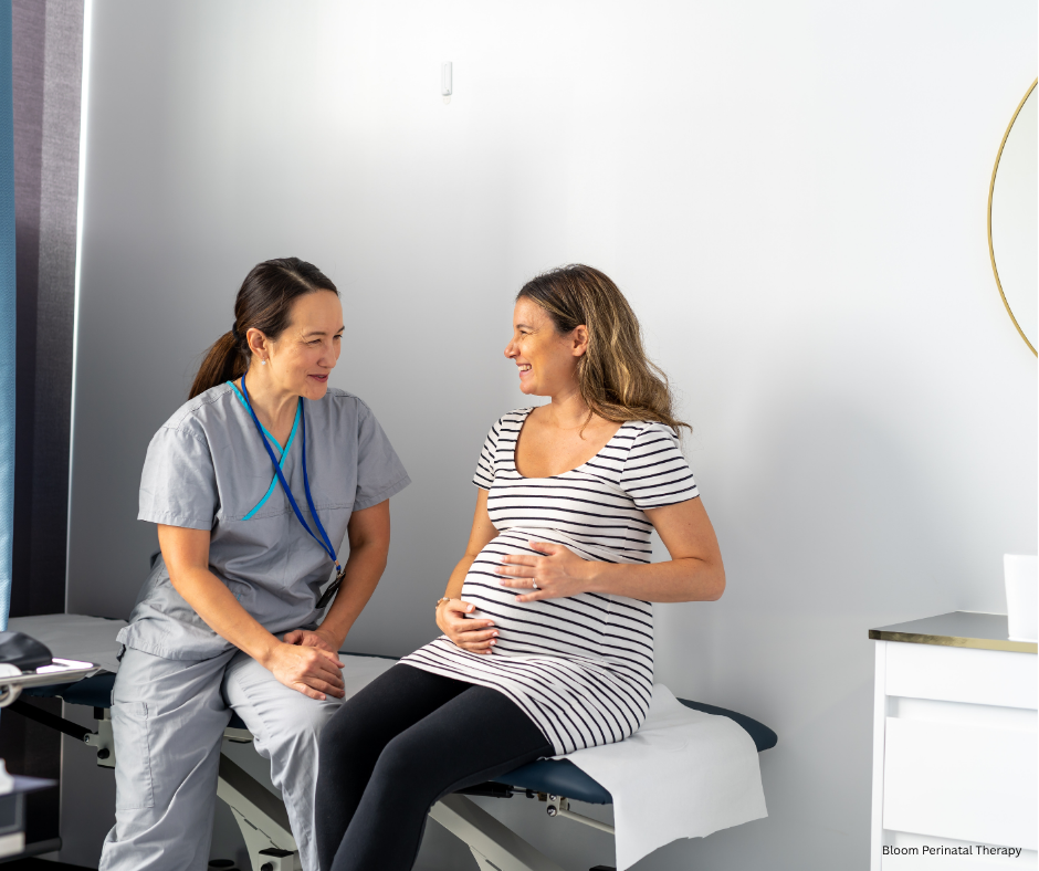 Healthcare provider discussing birth preferences with a pregnant patient