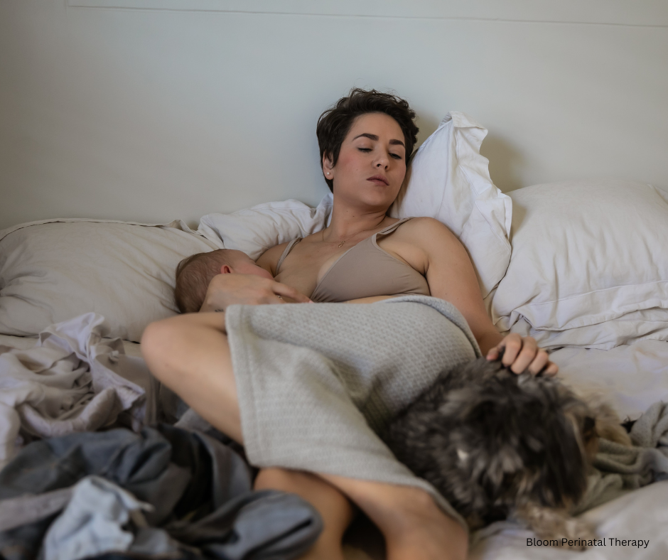 Therapist Postpartum Anxiety