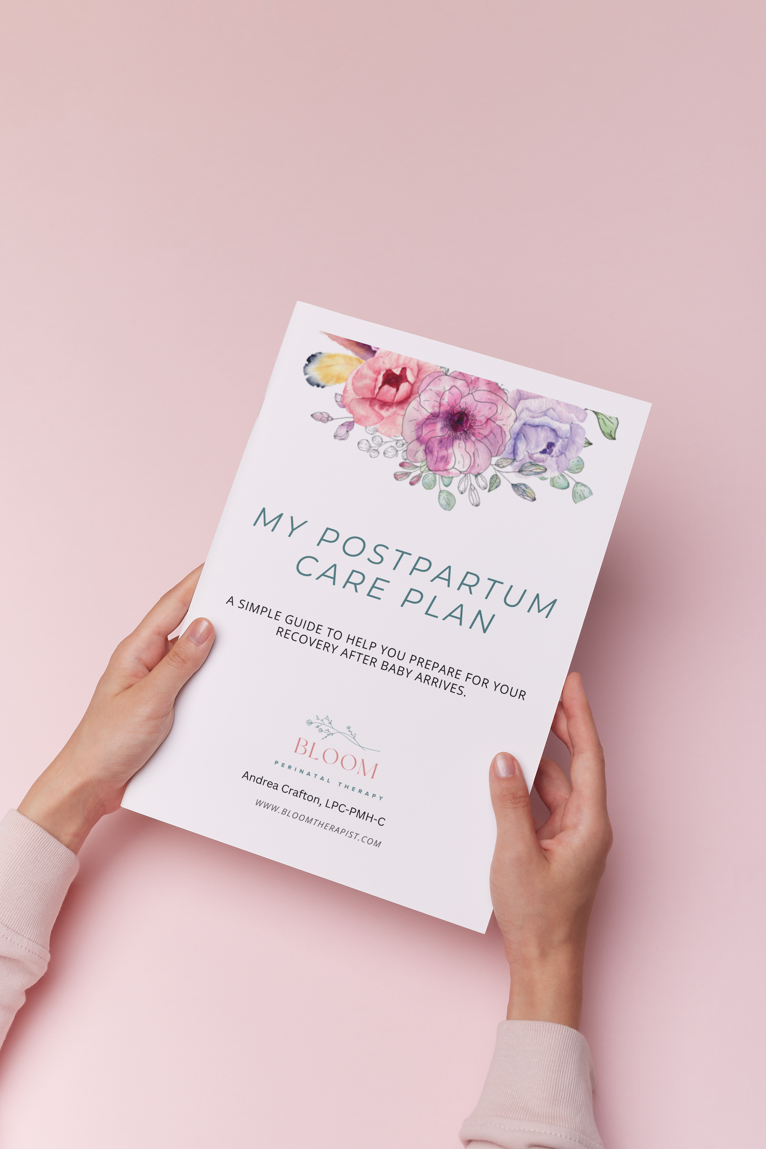 Postpartum Care Plan