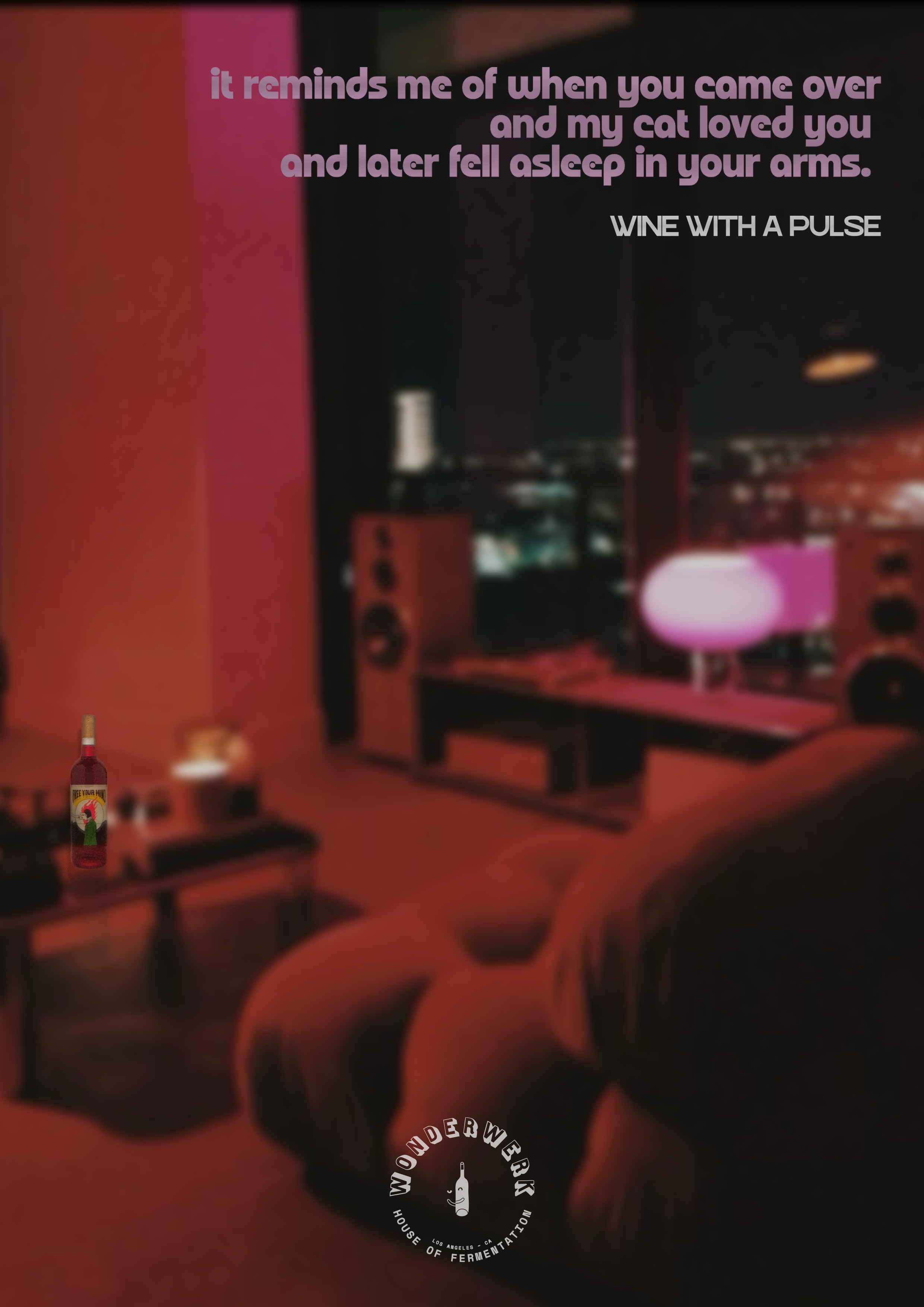 A dimly lit living room with a large window showing city lights at night. There's a couch, a side table with a lamp, a bottle of wine with a colorful label, and speakers. The image features an overlaid quote about a cat and wine, with the logo 'Wonderwerk House of Fermentation' at the bottom.