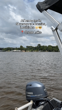 Afternoons in Shreveport-Bossier.gif