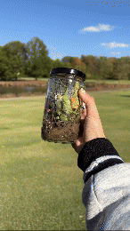 Make your own Terrarium.gif