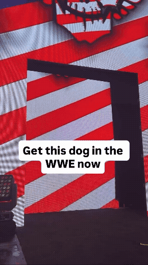 SnapInsta.to_AQNXLT4NdeV4VztTT9VIDlQf0jd58hp7MXb8jwxDqRebuUIcYh0IBAJnAaRkgesJdaCmtsUuLdCHBryxt2_pD0-JxRlUTI8PbTR-4Ik (1).gif