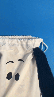 Copy of coaster build.gif