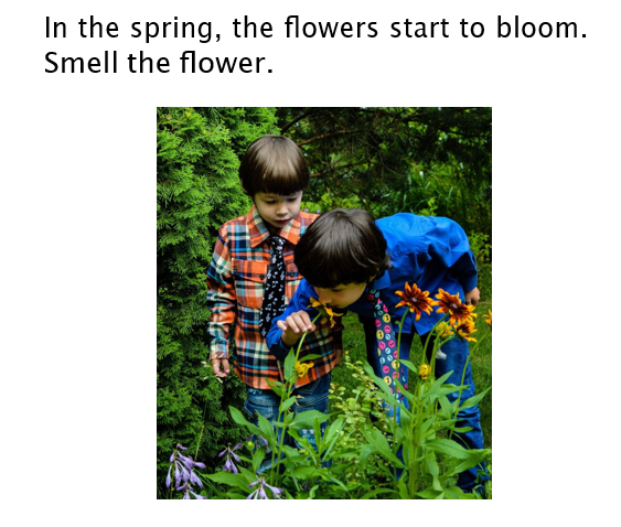 spring 2.png