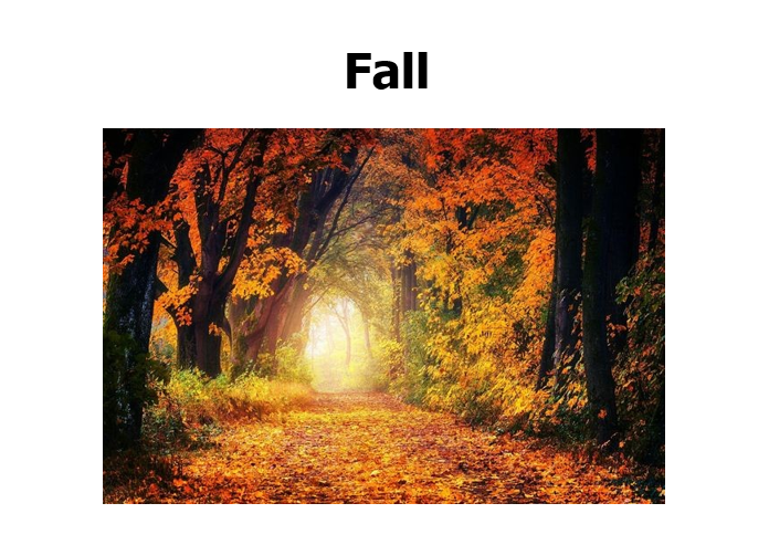 fall 1.png