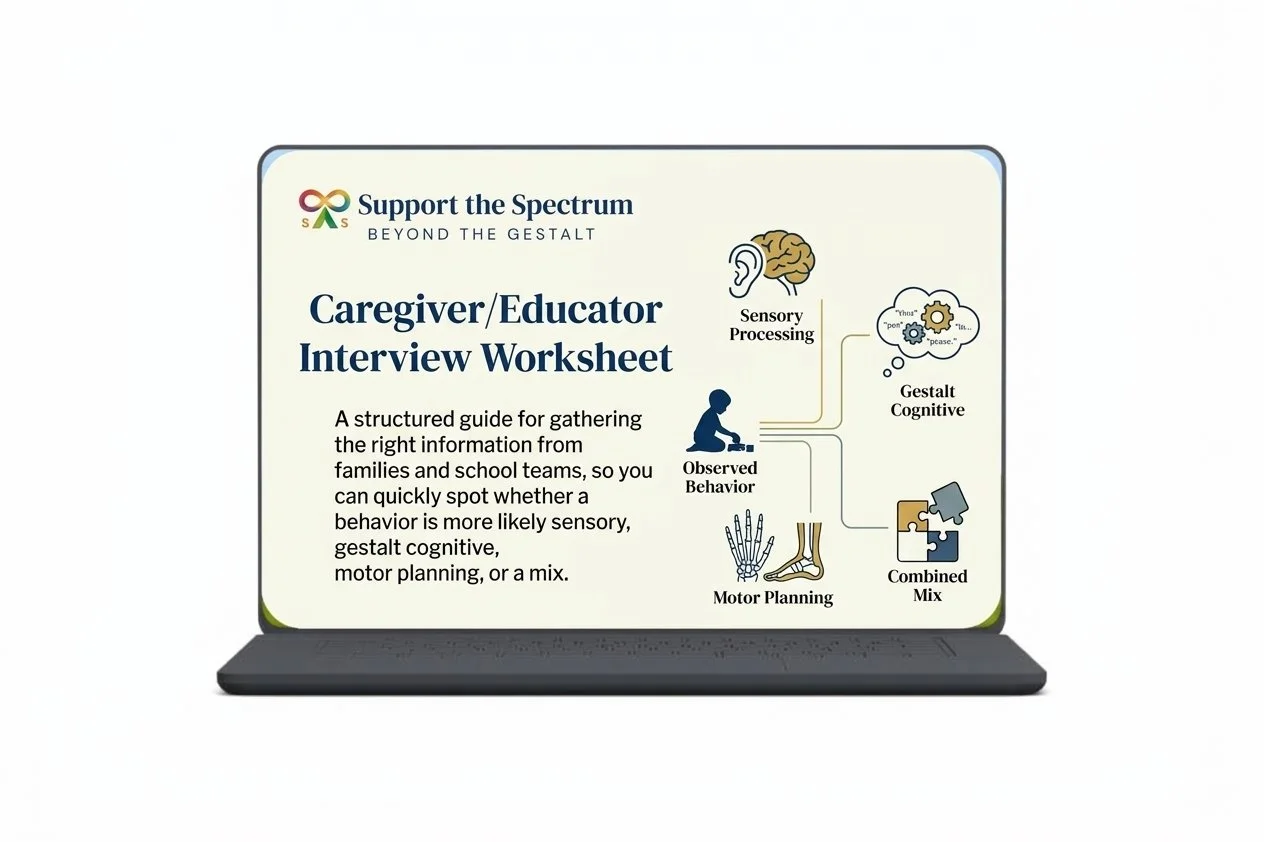 Caregiver/Educator Interview Worksheet