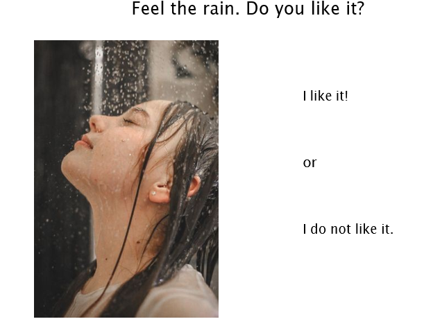 spring 4.png