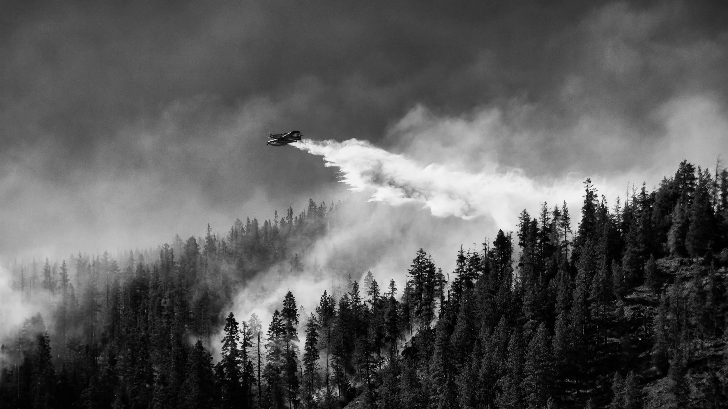 untitled-125.jpg