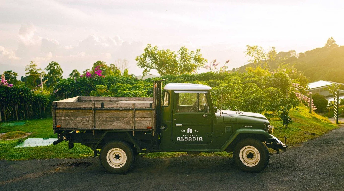 Starbucks Alsacia Coffee Plantation