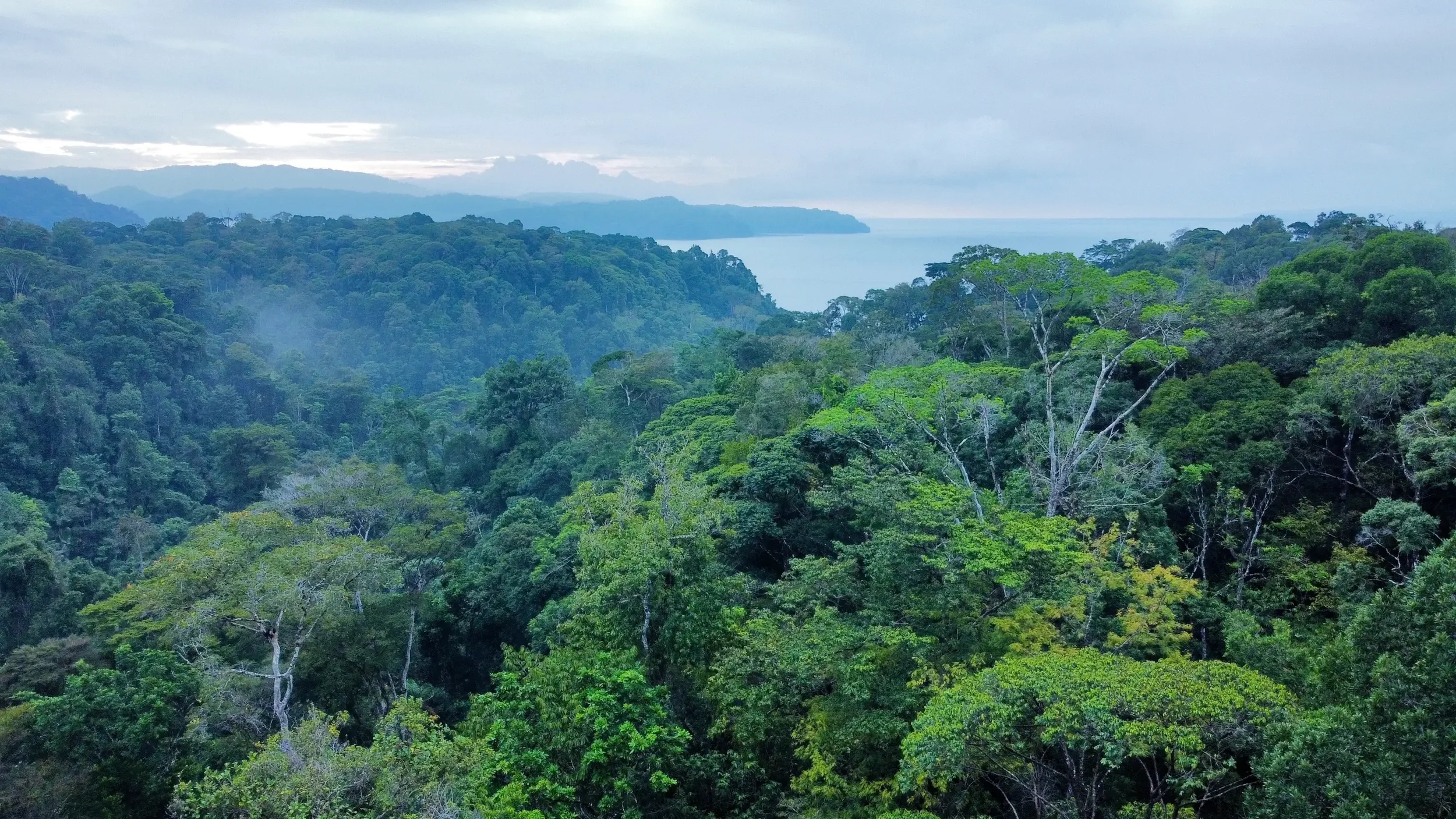 Costa Rica → The Swarovski Optik® Rainforest